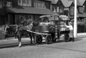 My Mother often took me to the local Express Dairy to see the horses